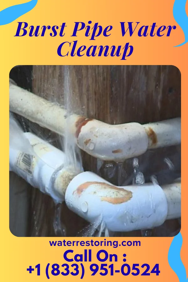 Burst Pipe Water Cleanup in Jugtown, MD