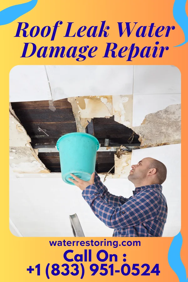 Roof Leak Water Damage Repair in Jugtown, MD